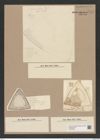 Triceratium giganteum Grev. (de-Toni-Nr.: Genus 140, Species 3762) Zeichnungen Sammlung Grunow Nr. 7279 (NHMW-BOT-W0376296)